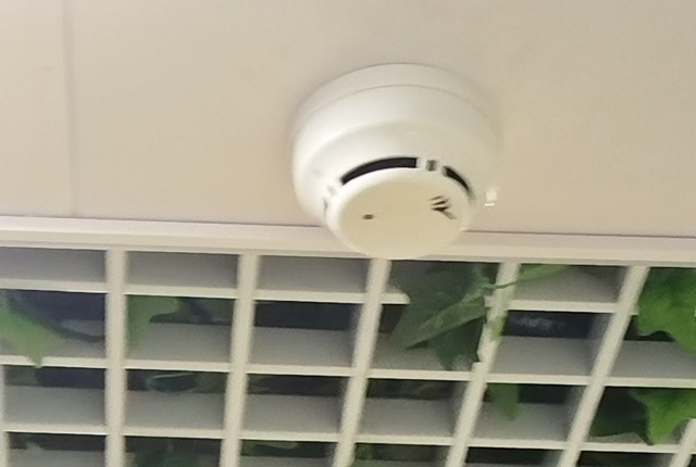烟感报警2024109193.jpg